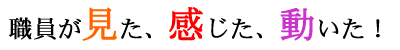 職員が見た、感じた、動いた!
