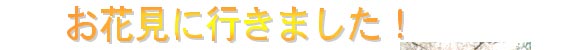 Ԍɍs܂I