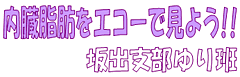 内蔵脂肪をエコーで見よう!! 坂出支部ゆり班